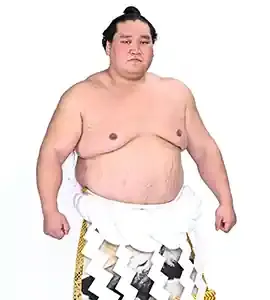 照ノ富士の軌跡と波乱の親方転身、その真実とは？