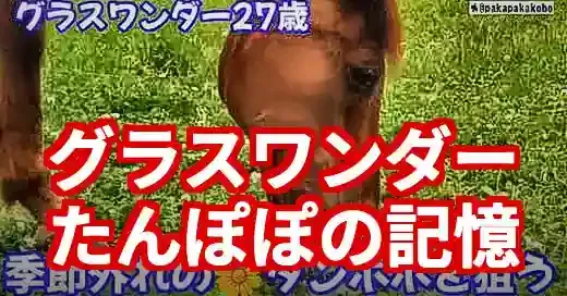 グラスワンダーとたんぽぽ、天国へ。愛され続けた記憶の真相 (関連: 芸能, キャラクター, グラスワンダー, たんぽぽ, ウマ娘)