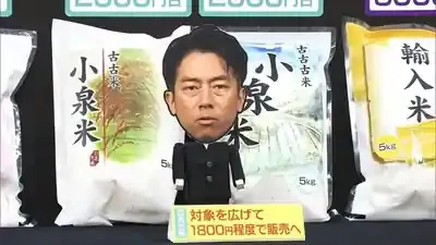 古古古米 小泉農相の備蓄米放出で賛否！2000円米の真実とは？