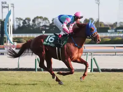 荒れる安田記念2025！🏆勝負の最終予想と高配当狙い、激アツ出走馬はコレだ！