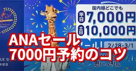 ANAセール7000円予約方法を解説！知らないと損する注意点も
