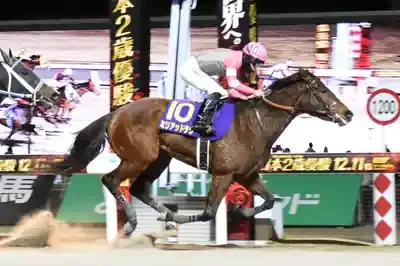 ミリアッドラヴ急逝：天才牝馬の光と影🐴💔