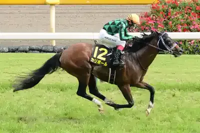 9歳馬カリボール、奇跡の大激走！パラダイスS制覇の衝撃と次なる伝説