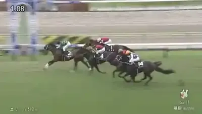 なぜ愛される？なんJ競馬のミーム馬「カリボール」にそそり立つ魅力！