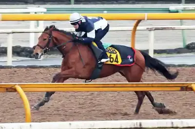 セキトバイースト衝撃V！2025年牝馬戦