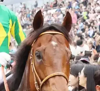 サトノレーヴ、英国で**歴史的2着**！🎌世界への挑戦と未来