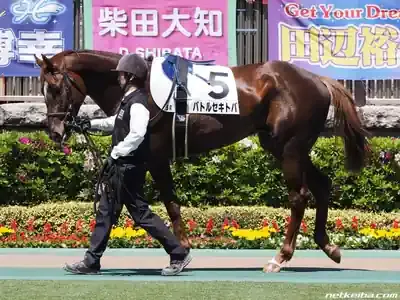 セキトバイースト覚醒！赤兎馬の魂宿る牝馬、重賞初制覇の全貌