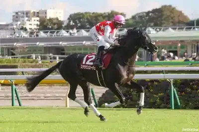 驚異のヴェローチェエラ！競馬界の未来を担う名馬たちの軌跡