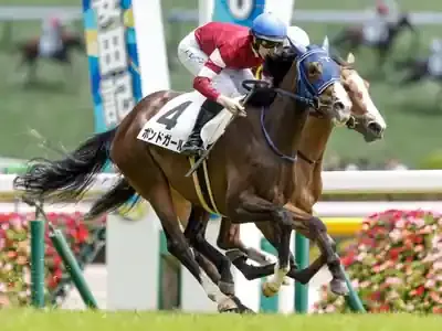 【訃報】ミリアッドラヴ安らかに。注目競走馬の感動秘話と未来へ繋ぐ絆