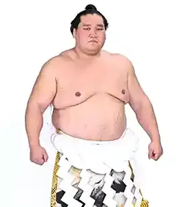 照ノ富士の軌跡と波乱の親方転身、その真実とは？のメイン画像 (関連: スポーツ, 相撲, 親方, 横綱, 照ノ富士)
