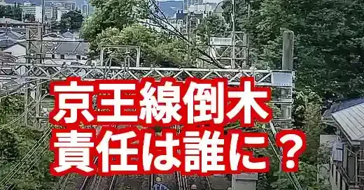 京王線倒木、所有者は誰？ウチの木は大丈夫？法的責任と対策を徹底解説