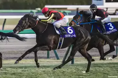 クロワデュノールが掴んだ栄光！日本ダービー制覇の秘話と次なる挑戦のメイン画像 (関連: スポーツ, 競馬, 騎手, 日本ダービー)