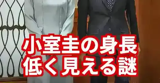 小室圭の身長が低く見える謎を解明！写真とネットの声で徹底検証 (関連: 芸能, ライフスタイル, 身長, なんJ)