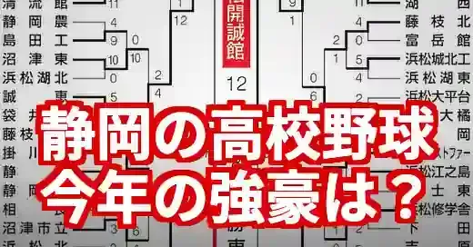 2025年静岡の高校野球強豪校！公立vs私立の勢力図を解説 (関連: スポーツ, 高校野球, 静岡, 強豪, 甲子園)